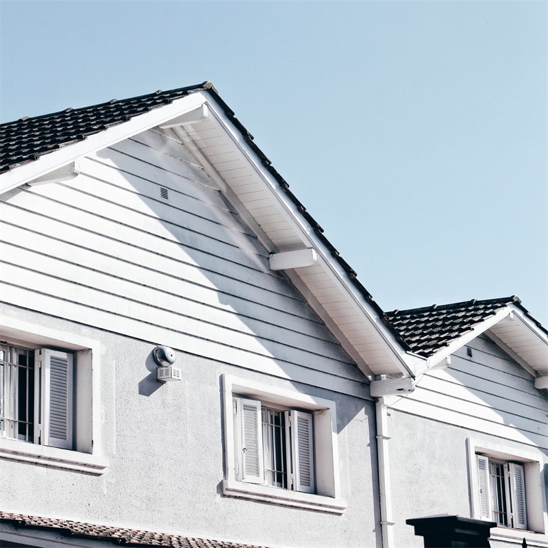 White and Gray Exterior Wall, Black Roofs, Windows