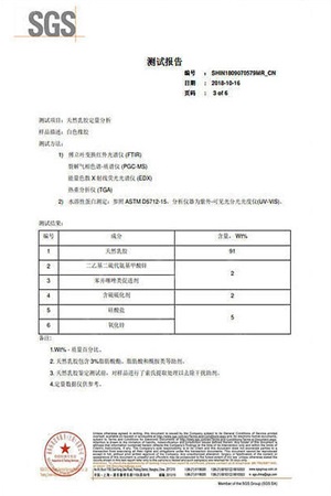 SGS Test Report