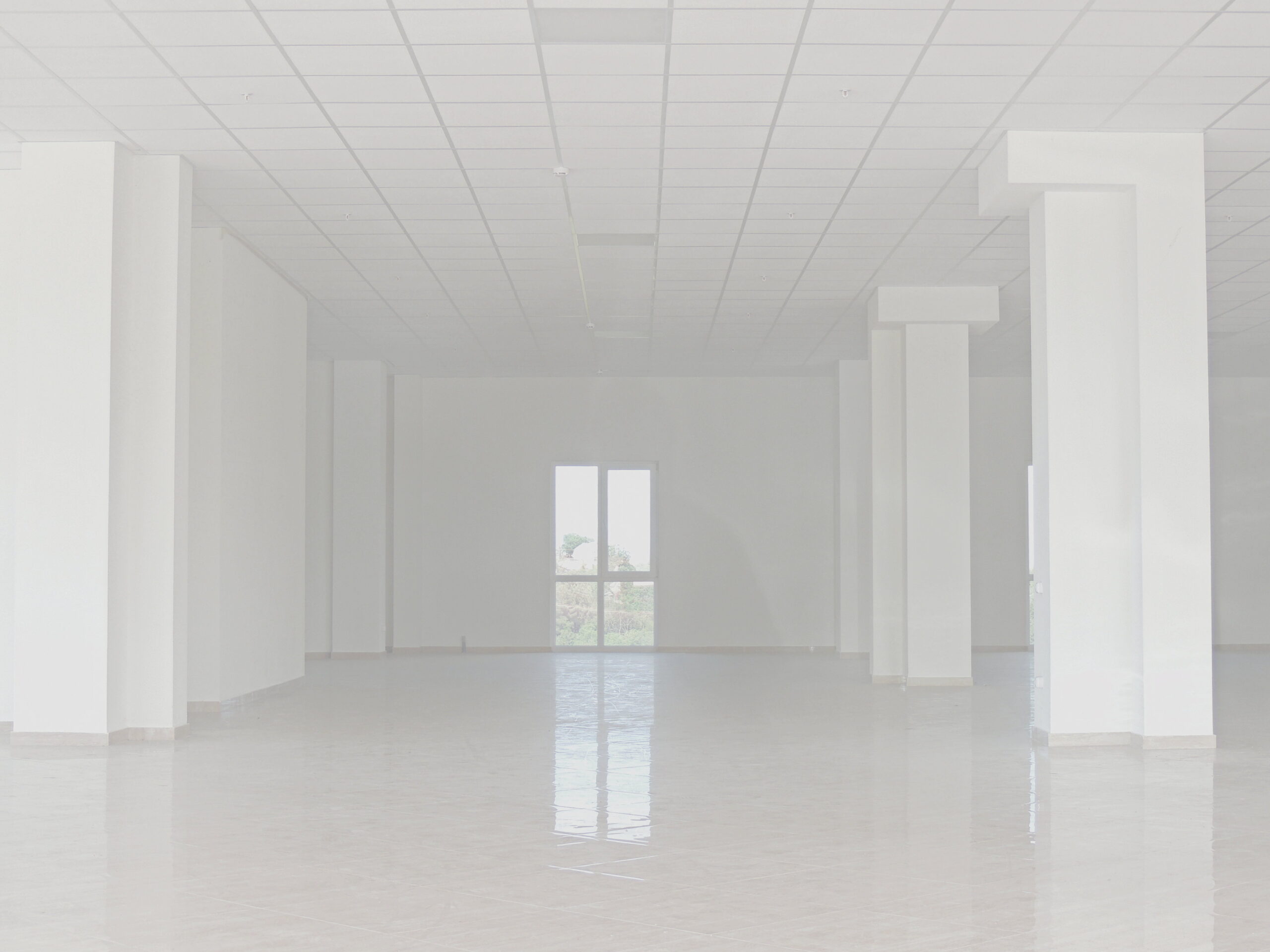 Epoxy Resin Floor, Ceiling, White Wall